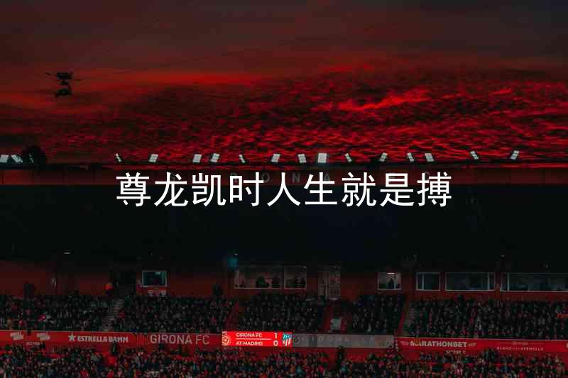尊龙凯时人生就是搏
