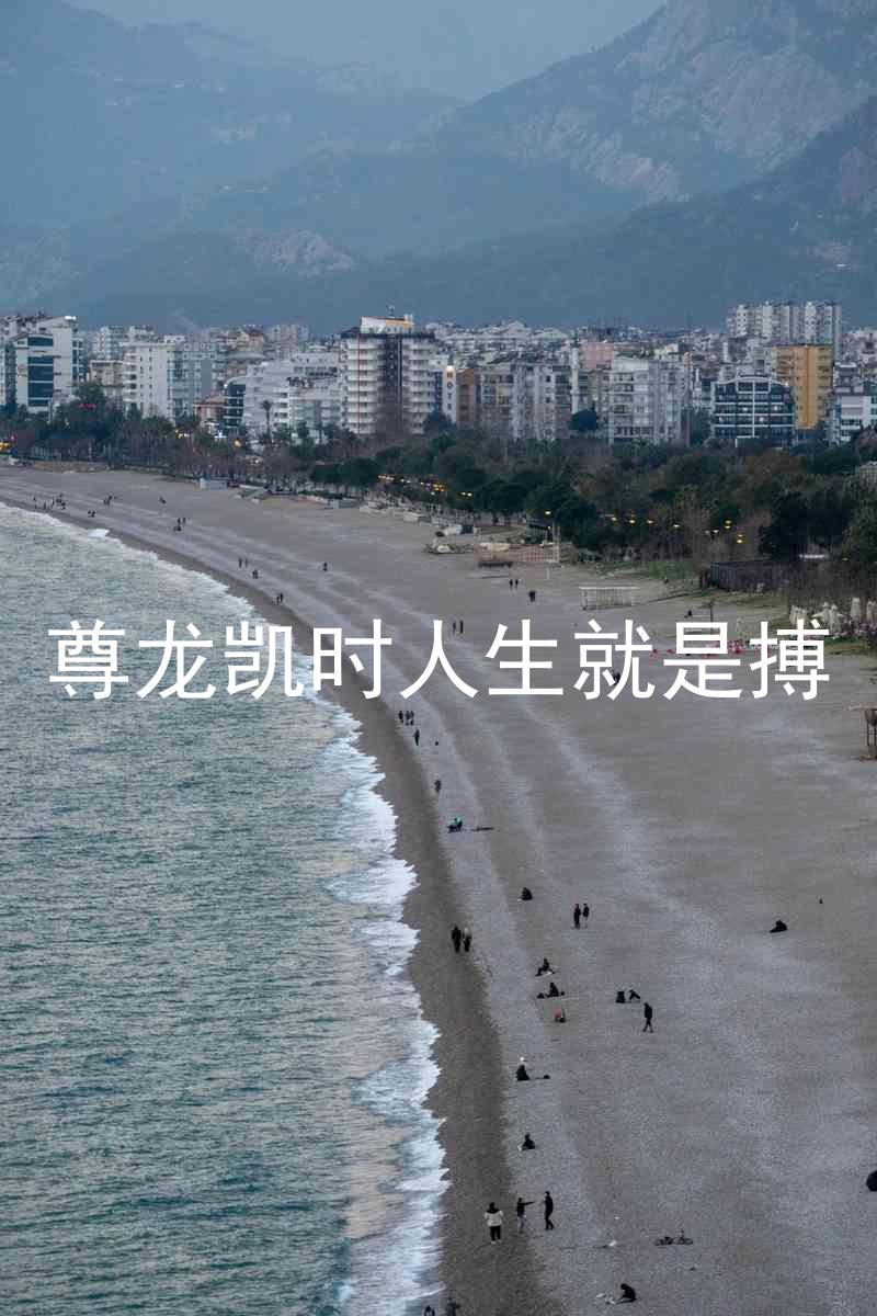 尊龙凯时人生就是搏