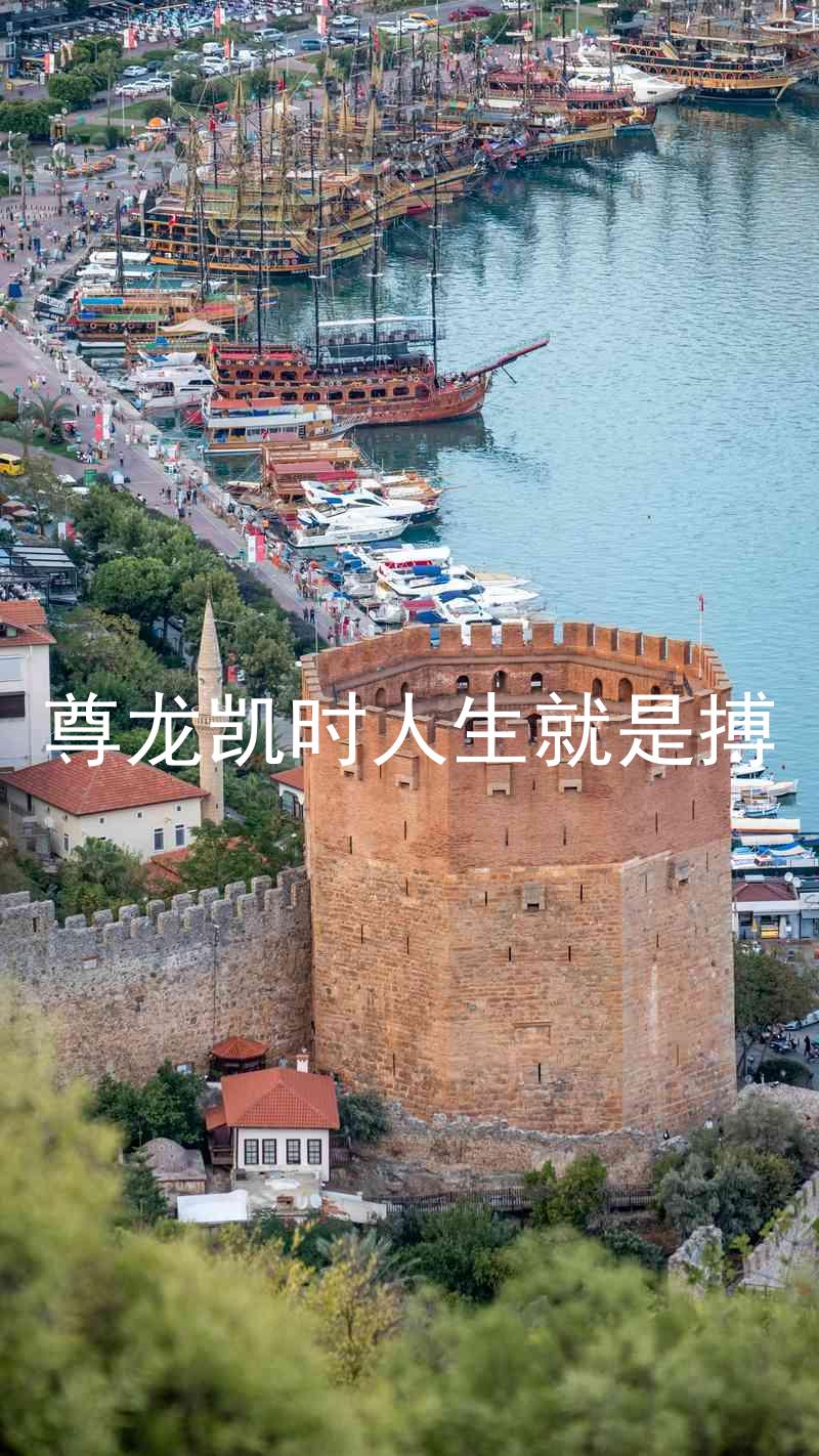 尊龙凯时人生就是搏