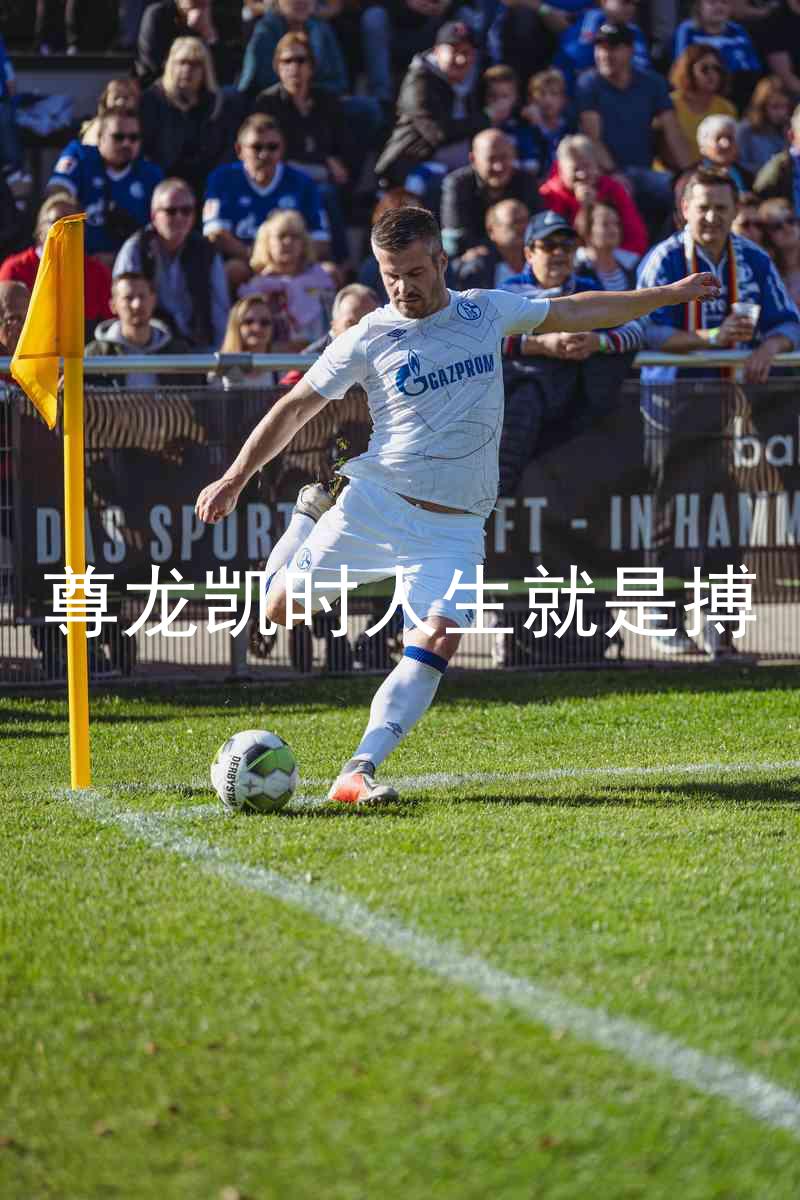 尊龙凯时人生就是搏