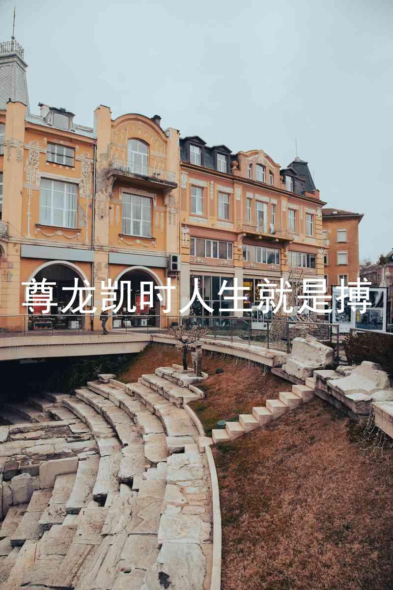 尊龙凯时人生就是搏