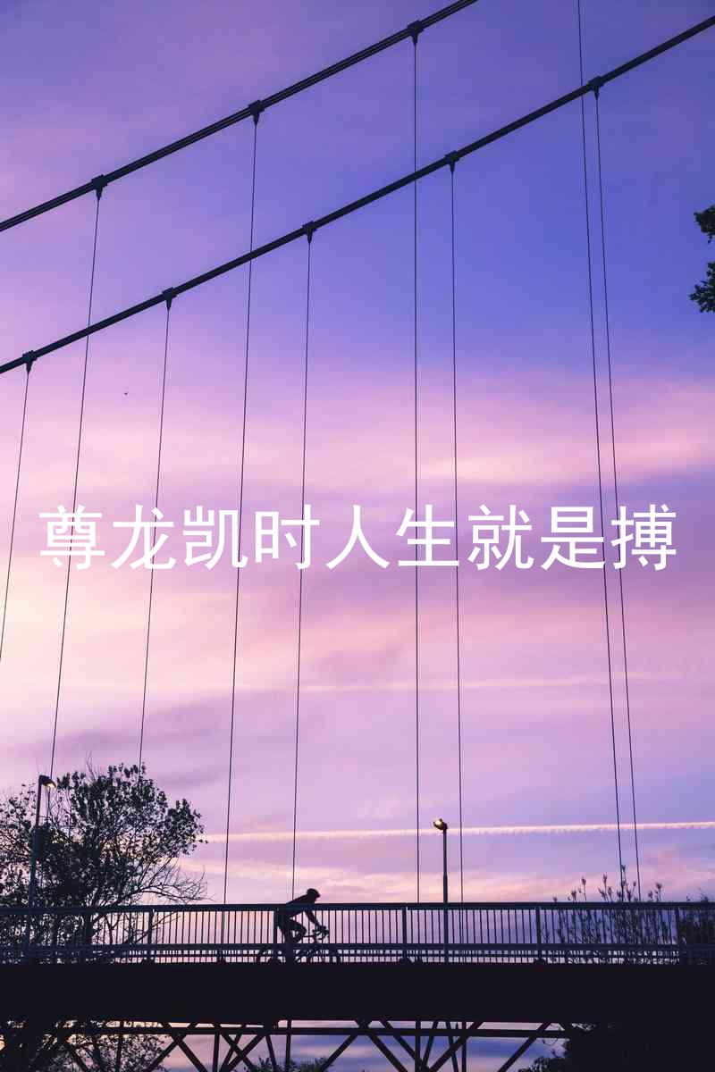 尊龙凯时人生就是搏